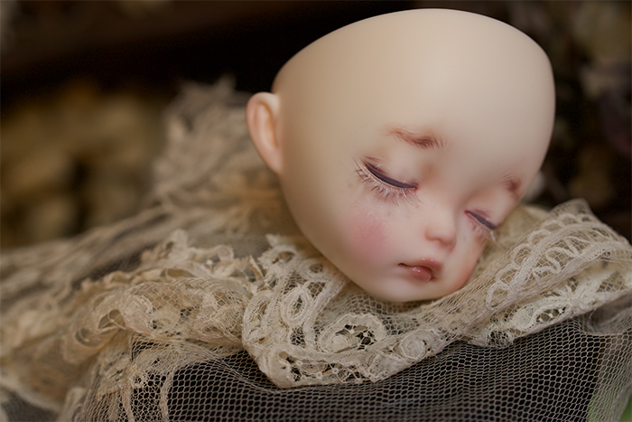 ヤフオクに出品しました - camellia